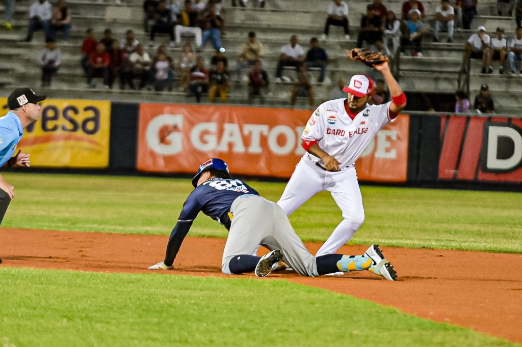 navegantes
